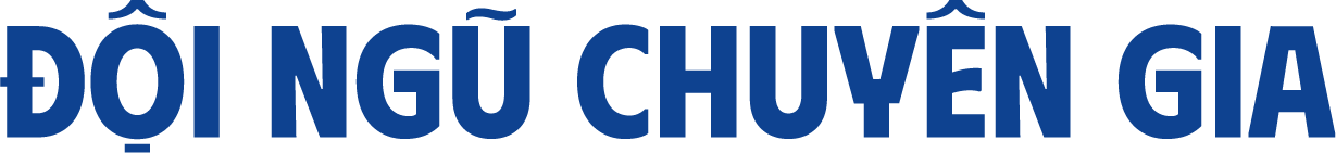 đội ngủ chuyên gia
